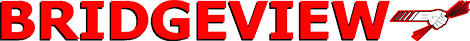 BRIDGEVIEW MANUFACTURING